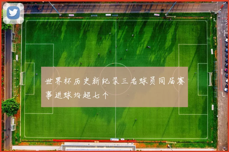 世界杯历史新纪录三名球员同届赛事进球均超七个