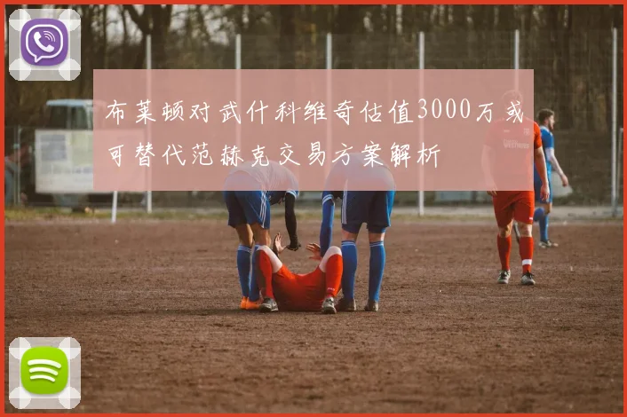 布莱顿对武什科维奇估值3000万或可替代范赫克交易方案解析